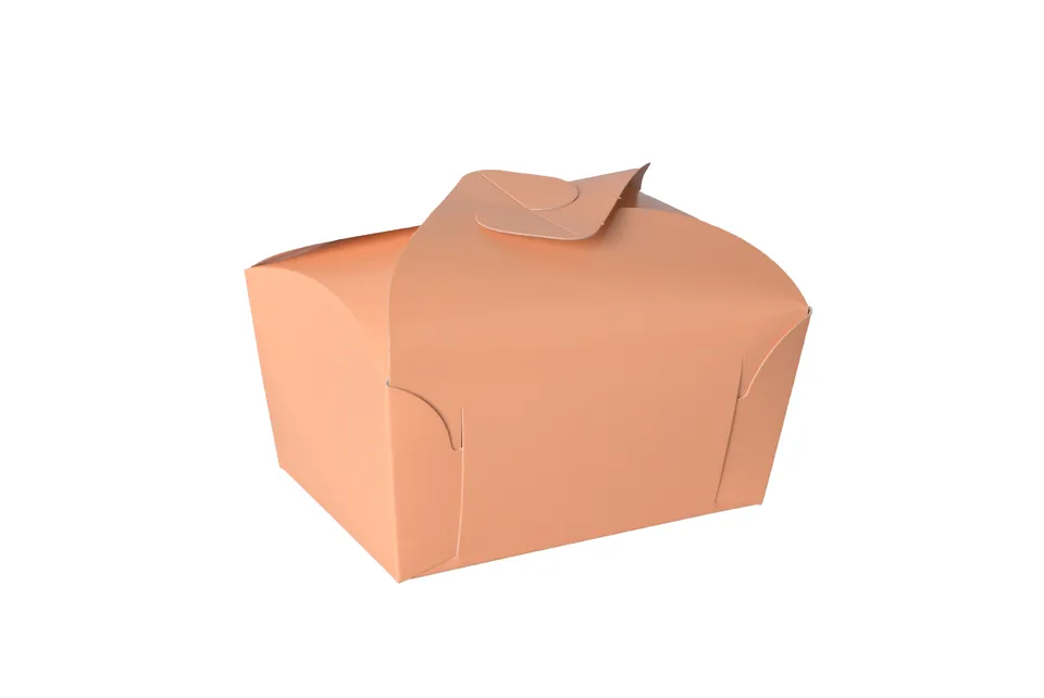 pawi-cam-patisserie-abricot-130x90x80mm-box image 1