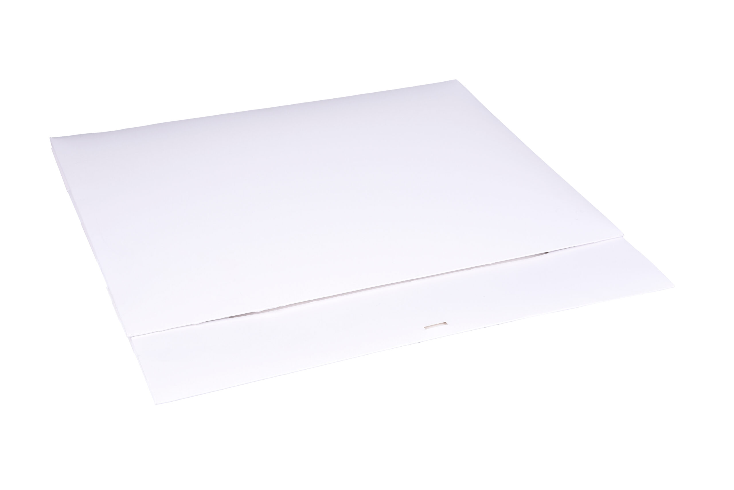 pawi-ap-ro-catering-clap-partyteller-dorata-470x340mm image 2