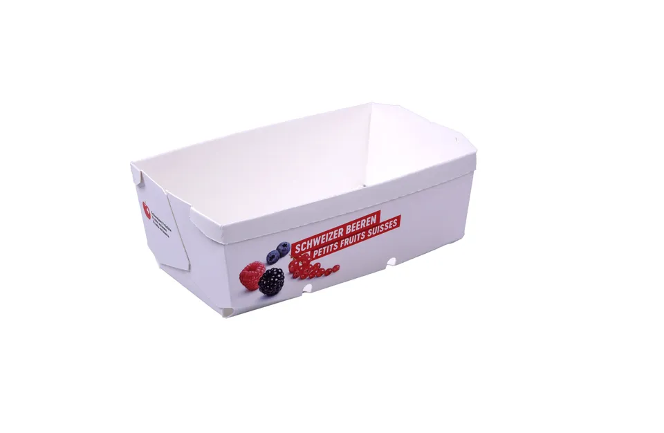 pawi-beerenschalen-schweizer-beeren-500g-beerenschale-karton image 1
