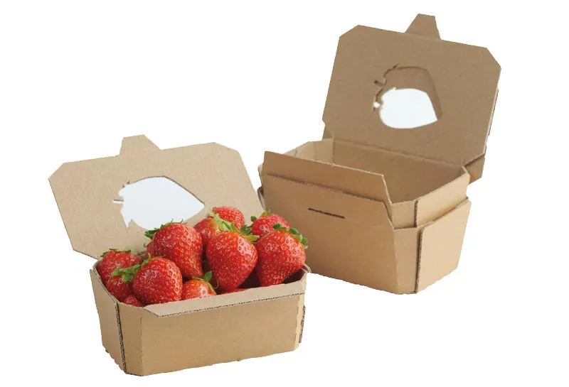 maistapack-thermoforming-food-packaging-tiefziehtassen-box image 1