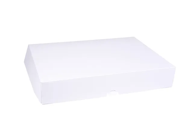 pawi-ap-ro-catering-clap-partyteller-dorata-470x340mm image 1