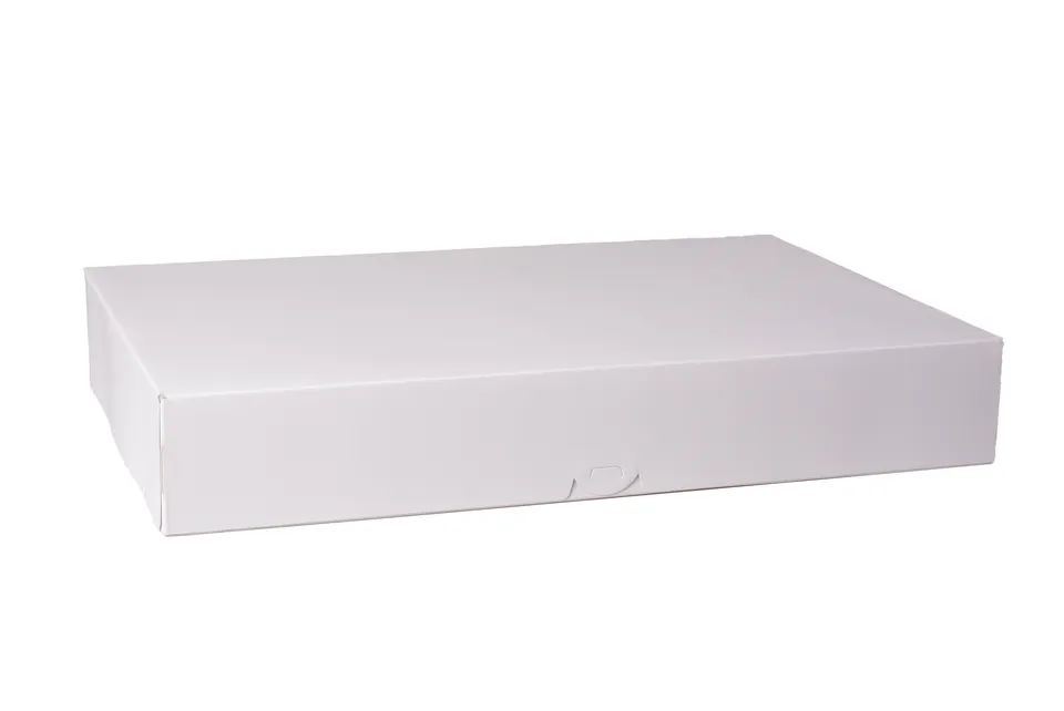 pawi-ap-ro-catering-universalbox-gross-45er-kartonbox image 1