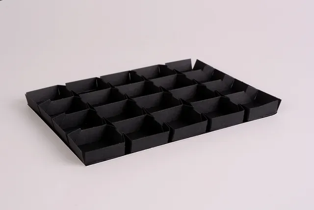 pawi-multiflex-einlage-schwarz-20er-pralineneinlage image 1