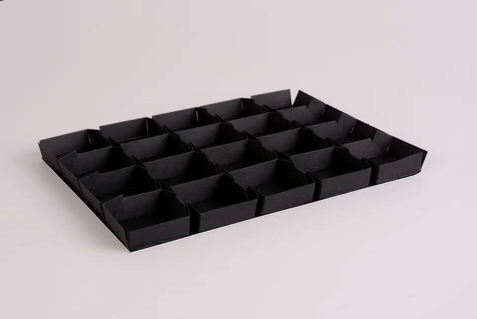 pawi-multiflex-einlage-schwarz-20er-pralineneinlage image 1