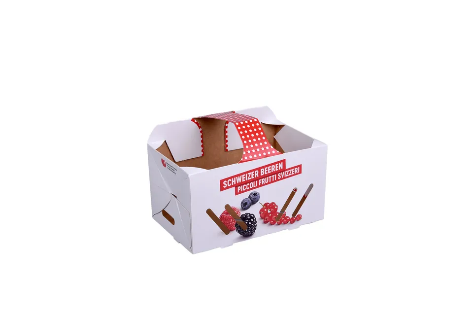 pawi-beerenschalen-beerenkorb-1-kg image 1