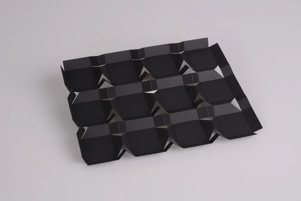 pawi-pralinenlinie-premium-multiflex-einlage-schwarz-12er-pralineneinlage image 1