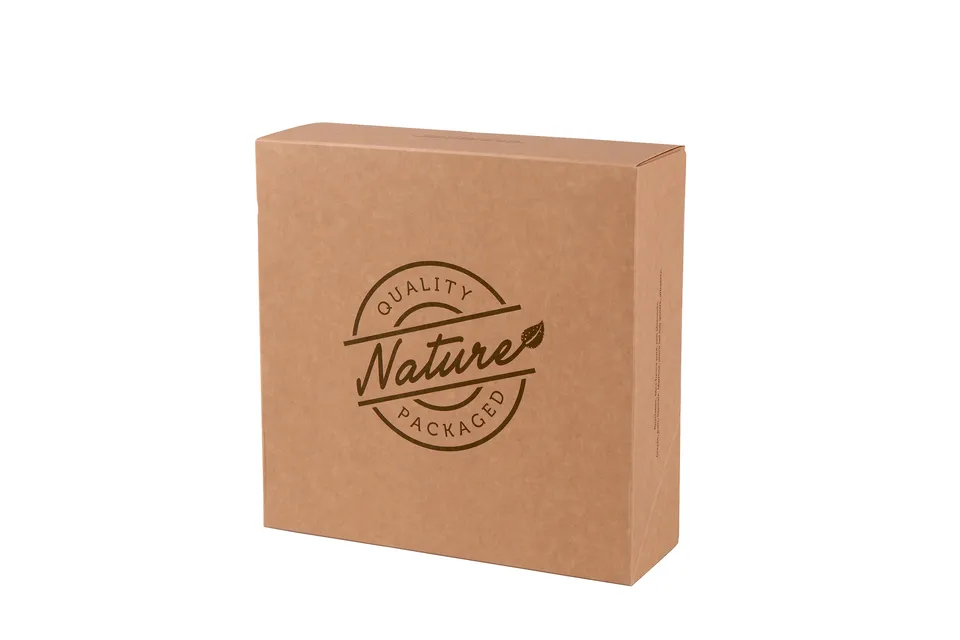 pawi-clap-nature-tortenschachtel-240x240x80-mm-kraft image 1