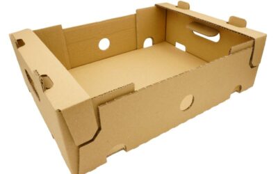 maistapack-wellpappe-verpackungen-versandkarton-leicht-stabil image 5