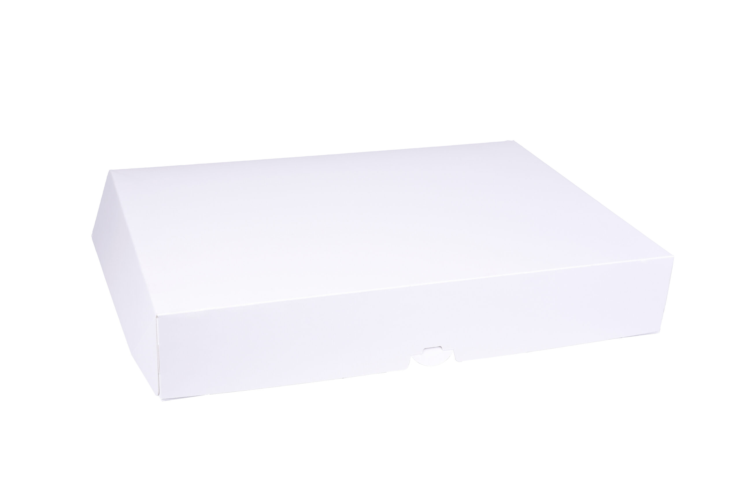 pawi-ap-ro-catering-clap-partyteller-dorata-470x340mm image 1