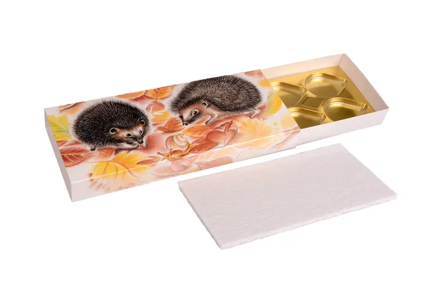 pawi-igeli-schiebeschachtel-8er-pralinenschachtel-geschenkbox image 1
