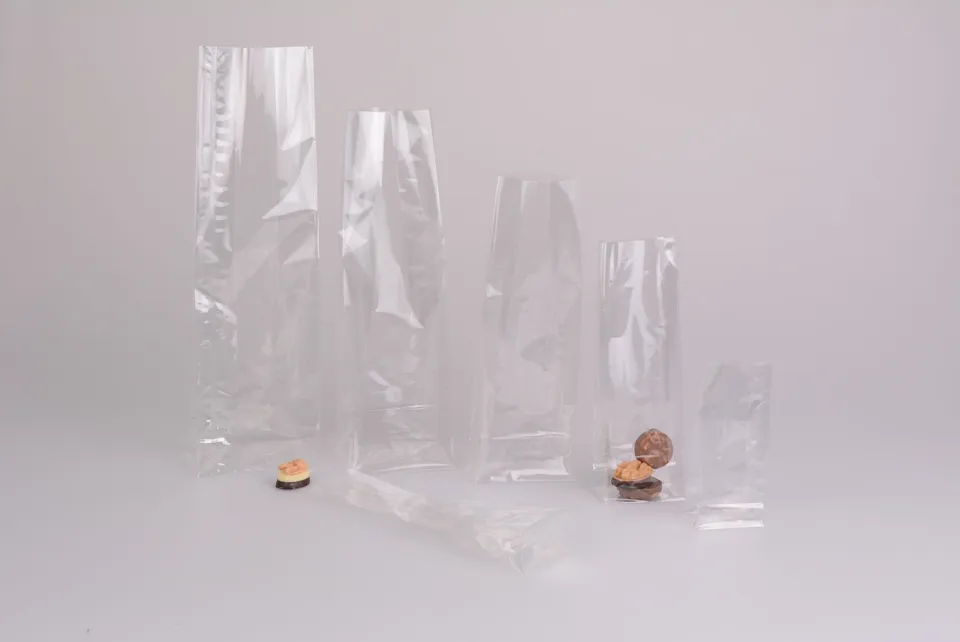 pawi-klarsichtbeutel-klotzbodenbeutel-100x85x370-mm image 1