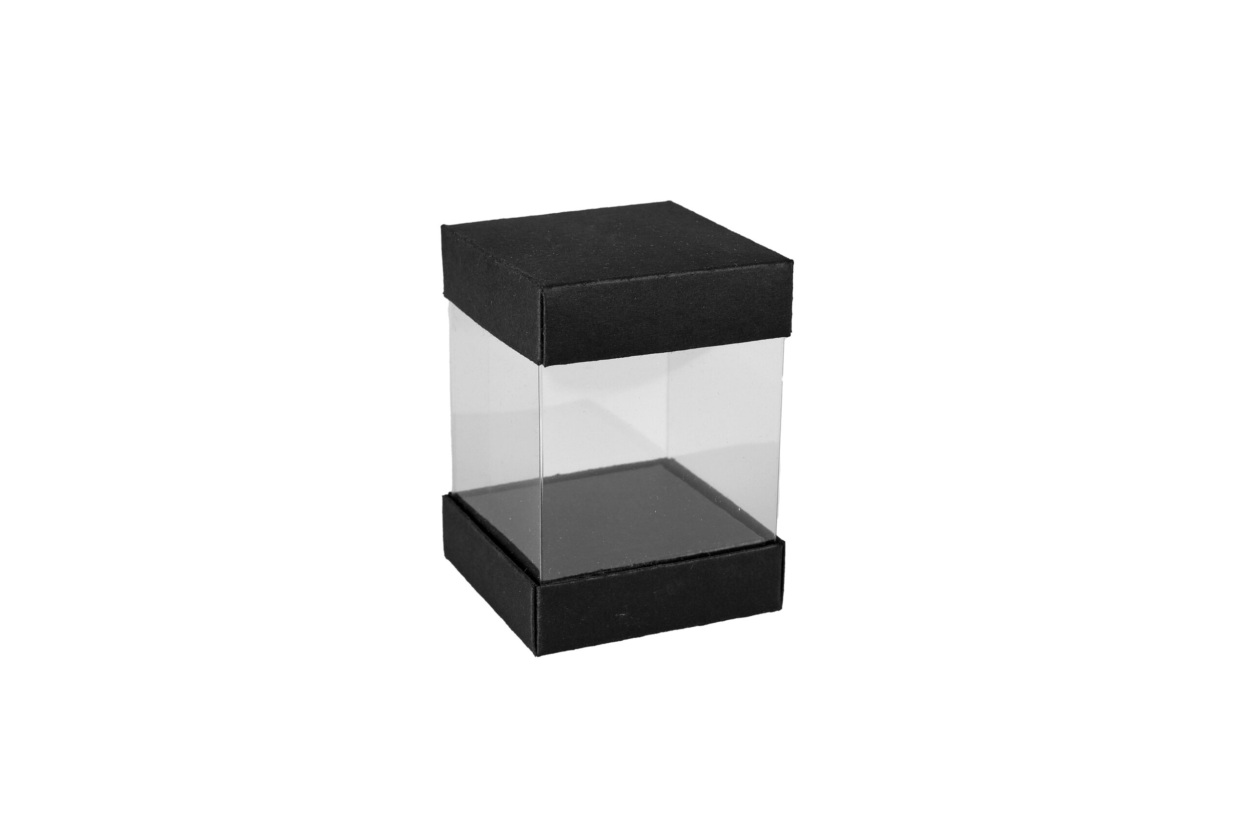 pawi-turm-klarsichtverpackung-60x60x85-mm-transparente-box image 2